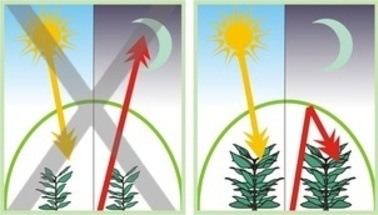 thermic_effect