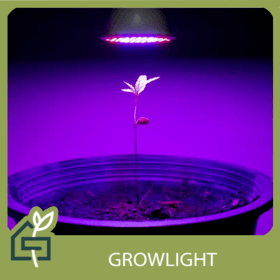 GROWLIGHT-ingilizce