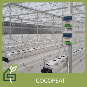 COCOPEAT-İNGİLİZCE